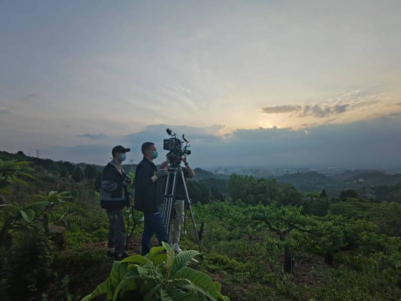 创意破圈！水城县电商产品宣传视频用故事化叙事引爆流量