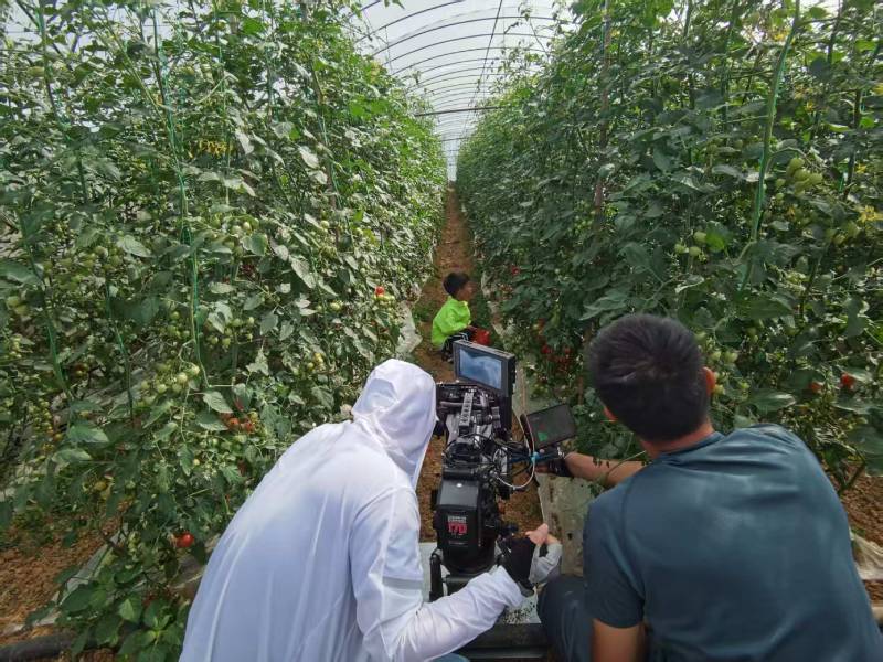 水城县产品宣传视频拍摄公司进阶指南，助力品牌抢占传播高地